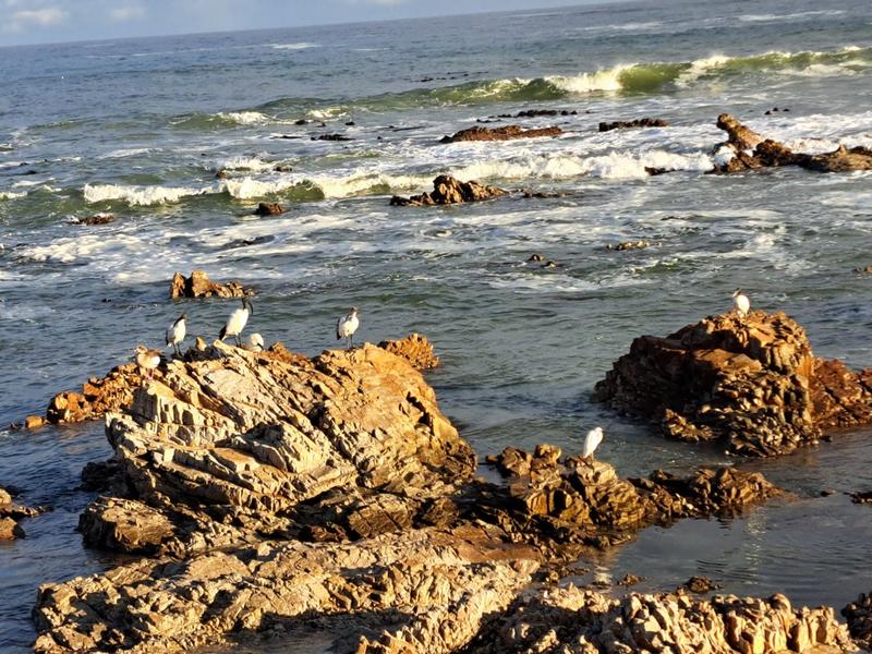 4 Bedroom Property for Sale in Pearly Beach Western Cape